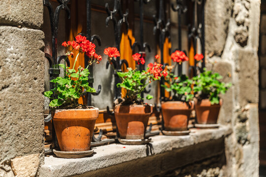 Flower pots on rustic window of historic stone house