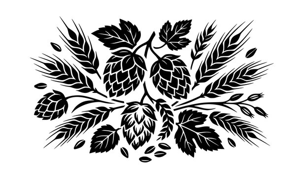 Hop Cones Barley Leaves and Brewing Ingredients Botanical Decorative Design