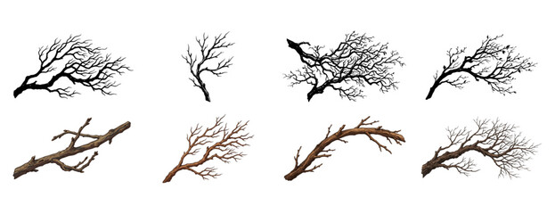 Dry Tree Branch Color Vector Pack on PNG Background, dry tree branch, tree branch, dry branch, twig, dry twig, woody branch, bare branch, natural branch, botanical element, branch icon, twig icon, © TalalAhmad