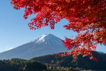 Mount Fuji in autumn with red maple leaves, Yamanashi Prefecture, Japan © eyetronic