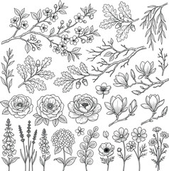 Vintage Botanical Vector Illustration Collection featuring Hand-Drawn Floral Elements, Roses, Magnolias, Cherry Blossoms, Oak Leaves, Lavender, and Garden Flowers in Detailed Line Art Style © MD FARID