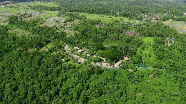 Aerial shot of luxury hotel surrounded by tall green trees or rainforest and rice field in Ubud, Bali