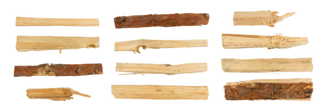Firewood pile isolated, cut logs stack