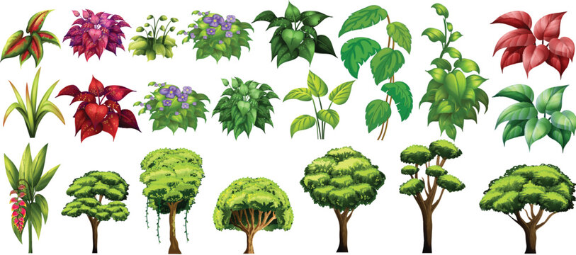 set of vector trees