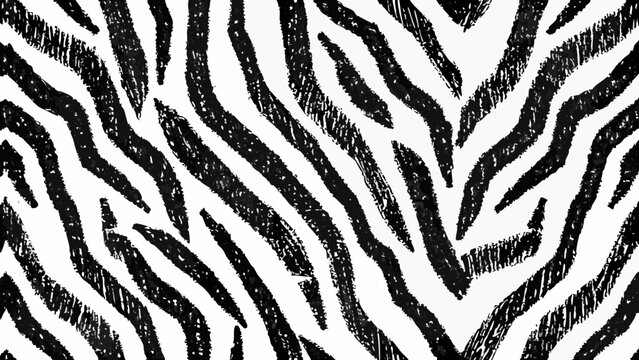 Zebra stripe pattern a monochrome vector illustration with irregular textured lines animal print black white