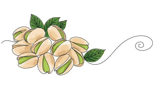 Pistachio nuts with leaves continuous line drawing minimalist organic snack illustration for healthy lifestyle.
