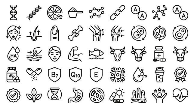 Collagen line icons set. Hyaluronic acid molecule, vitamin C, skin care, elasticity, knee joint, beauty flat minimal vector illustration. Simple outline pictogram. 48x48 Pixel Perfect Editable Stroke 