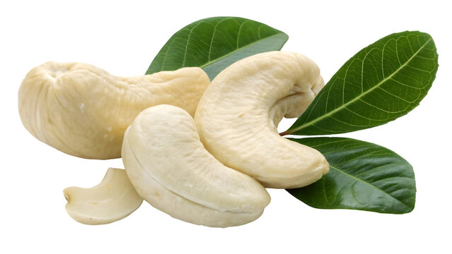 Cashew nuts and leaves on a transparent background, healthy snack