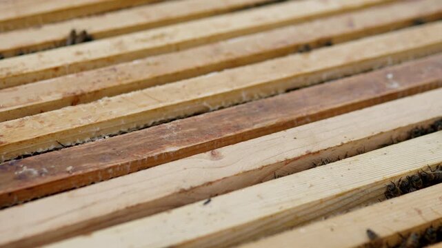 Late sequence close-up shows weathered wooden slats filling frame in parallel lines, with warm natural light revealing rough grain, pale beige and brown tones, dark gaps,