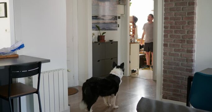 Dog Waiting by Kitchen Entrance: A black and white border collie waits patiently by the entrance to a kitchen, with a man visible in the background.