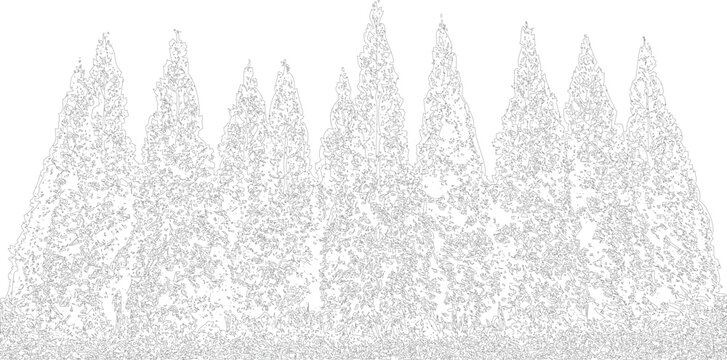 Stylized graphic representation of pine trees in a dense forest pattern on transparent background vector art.