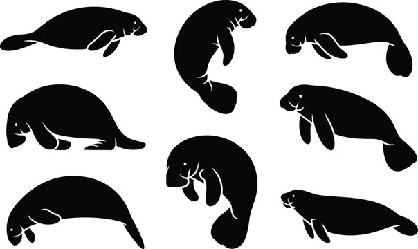 Set of black silhouettes of manatees in different swimming and floating poses