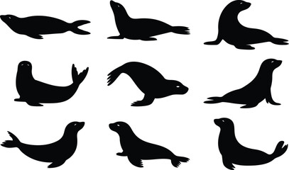Black silhouette collection of cute seals in various poses and swimming positions © Milon Store