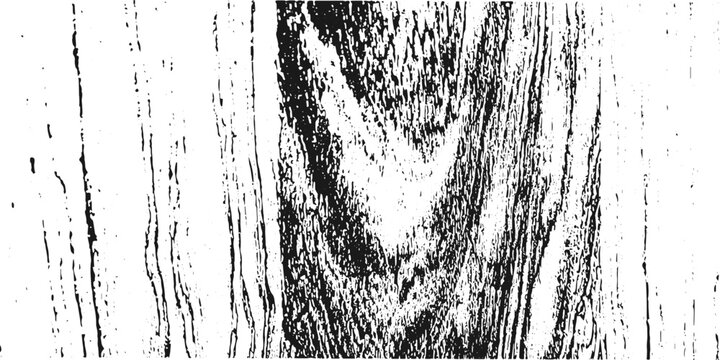  Black and white abstract tree bark texture, contrasting natural background.
