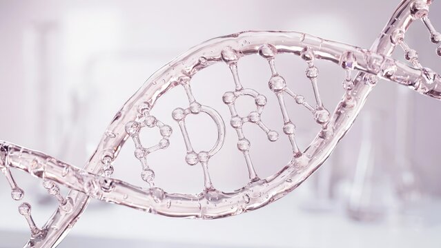Transparent dna helix with pdrn polynucleotide structure, salmon dna repair skincare ampoule, regenerative aesthetic medicine injection therapy, biotechnology laboratory research