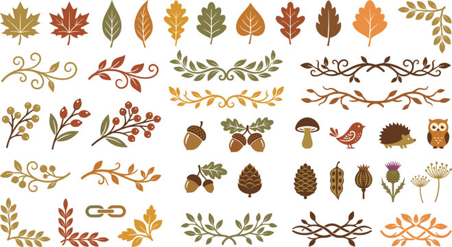Autumn Fall Leaves Branches Acorns Berries Nature Decorative Elements Set Collection Vector Illustration