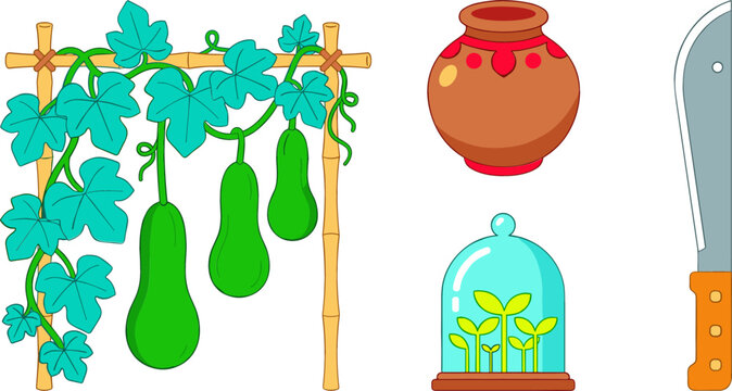 Bottle Gourd Harvesting Vector Set Featuring Calabash Plant on Bamboo Trellis Clay Pot Clay Jar Plant Seedlings Cloche Dome and Machete Knife Icons