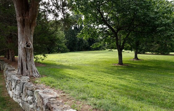 Stone wall, grassy area, and copse of trees
