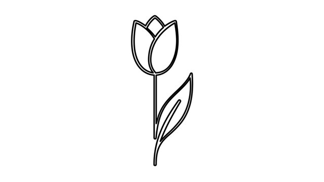 Vector illustration of a tulip flower line icon presenting the tulip in a closed bud stage atop its characteristic straight stem, great for springtime, wedding, and nature design themes.