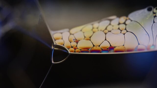 Microfluidic channel with dense cluster of organic golden cells. Abstract macro footage showcasing a dark geometric channel packed with an array of miniature fluid compartments. Luminous 