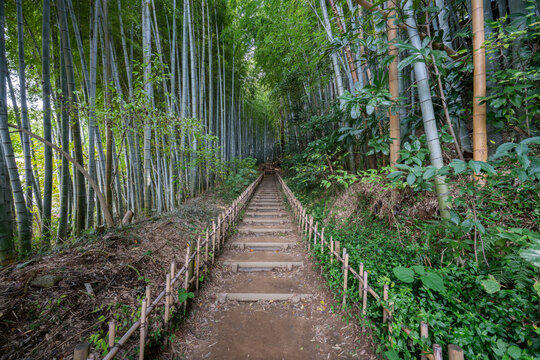 Old Samurai Road, Hiyodorizaka Slope, Sakura City, Chiba Prefecture