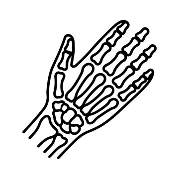 Hand and Finger Bones X-Ray Icon for Orthopedics