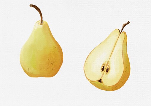 Pear made in Procreate in Watercolour technique. JPEG file. 300 DPI