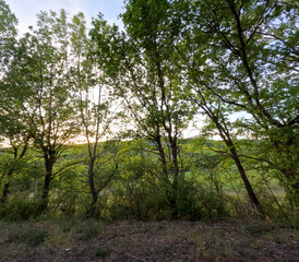 Fototapeta premium Sunset landscape in the Orcia valley spring time Pienza Tuscany Italy