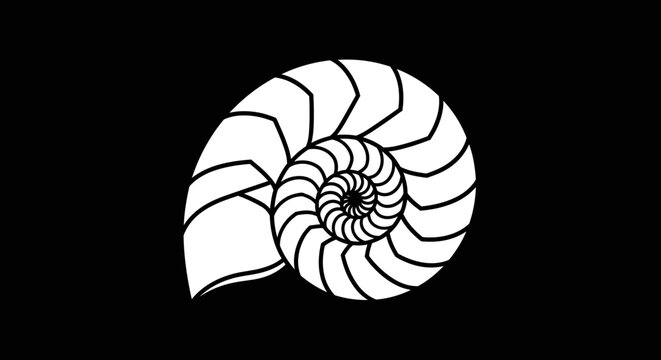 Nautilus shell spiral pattern on a black background.