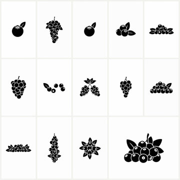black and white background with frout