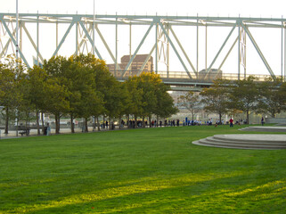 Naklejka premium A walk through the park
