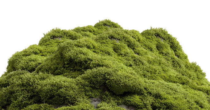 Transparent background featuring a green mossy slope