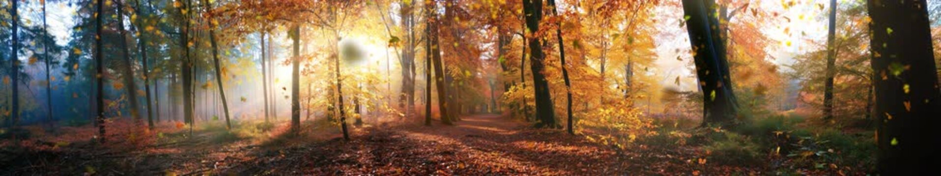 Magical Autumn Forest with Falling Leaves and Golden Sunbeams Through Orange Trees Panorama &mdash; Widescreen Loop