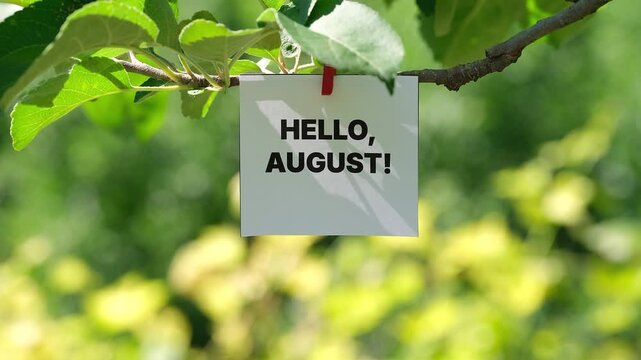 A note with the words Hello, August! on it clipped to a green tree branch. Close up.