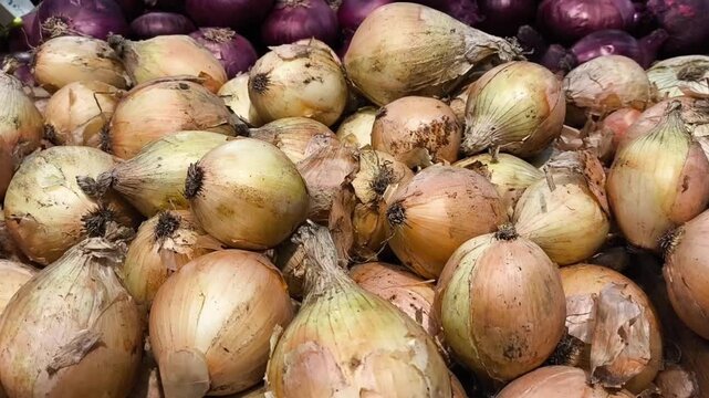 Market stall with beets and onions. Fresh farm vegetables display