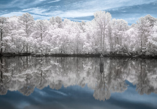 Infrared photograph of a quiet calm lake with trees in unusual surreal color