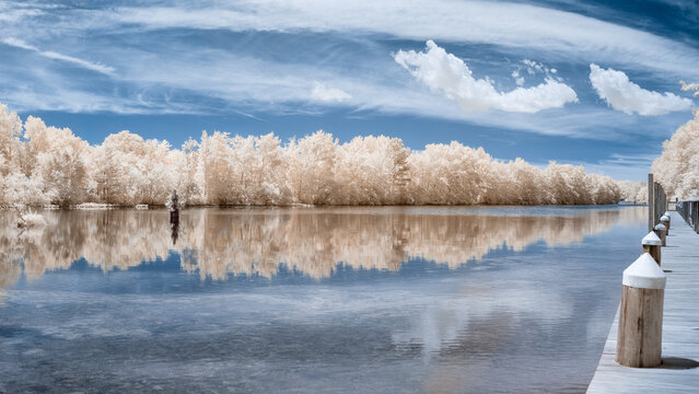 Infrared photograph of a quiet calm lake with trees in unusual surreal color