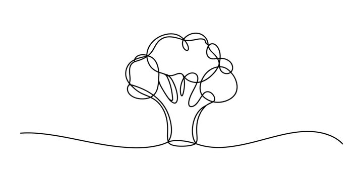 Continuous single line drawing of a fresh green broccoli vegetable head showing organic healthy food for a vegan diet concept in a simple minimalist style Vector, illustration