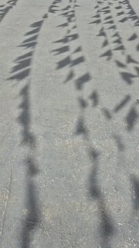 A sombra das bandeirolas balan&ccedil;ando ao vento, no ch&atilde;o de concreto.