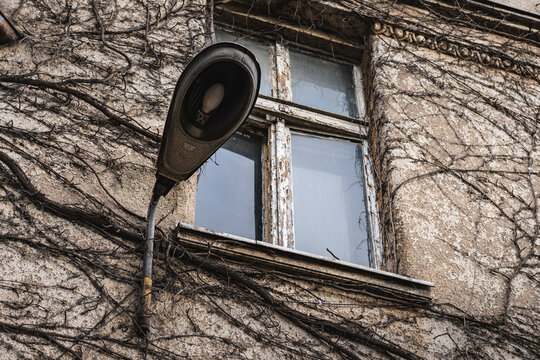 a section of an old tenement building whose walls are covered in ivy