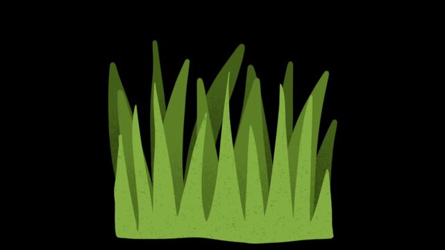 animated green grass tuft lawn field plant element swaying on black background nature flat vector graphic object