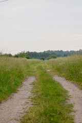 Fototapeta premium Country Dirt Road Through a Meadow