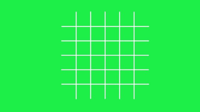 White grid lines isolated on green screen chroma key background for modern creative video templates