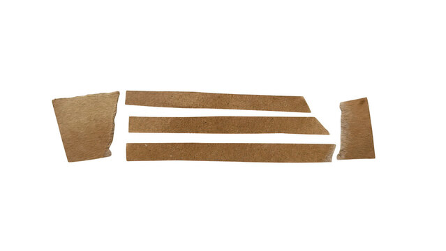 Ancient papyrus scroll fragments on neutral background isolated on transparent background