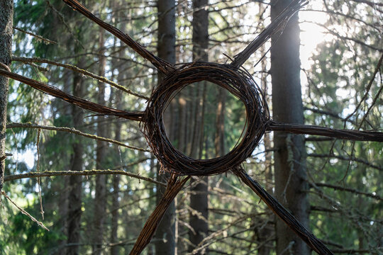 Handwoven twig circle with radiating branches among tall pine trunks, backlit by soft sunlight, creating organic texture, woodland mood, and natural pattern