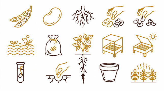 Soybean cultivation and agriculture line icon set showing plant growth stages and farming process.