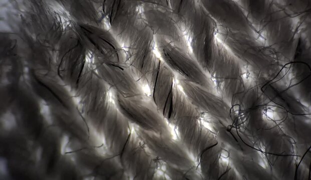 Structure of cotton fabric under the microscope with detail of the fibres