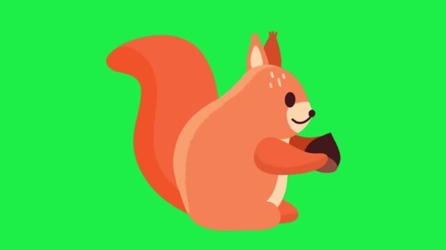 Cute cartoon squirrel holding acorn on green screen animation ideal for chroma key kids videos and creative edits easy