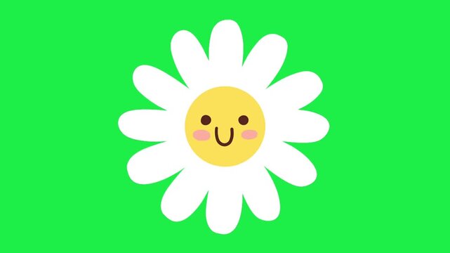 Cute smiling daisy flower icon on green screen background for chroma key animation seamless loop editing creators
