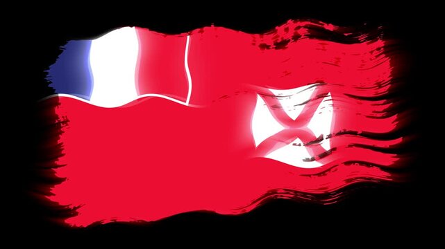 Waving torn Wallis and Futuna flag grunge brush burn light leaks, transparent background alpha channel loop full HD